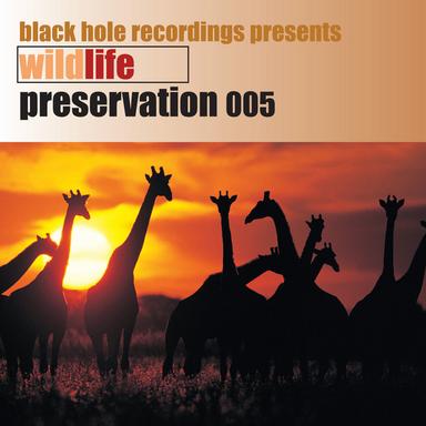 She's Got It - Late Mix