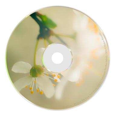 Deeper Ground - Original mix