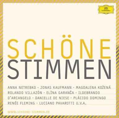 St. Matthew Passion, BWV 244 / Pt. 2: No. 47 Aria (Alto): "Erbarme dich, mein Gott"