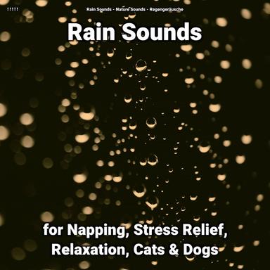 Tender Ambient Background Noise