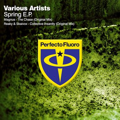 Collective Insanity - Radio Edit