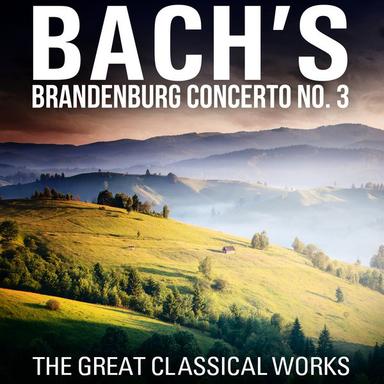 Orchestral Suite No. 3 in D Major, BWV 1068: II. Air