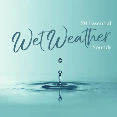 Sheltered from the Rain