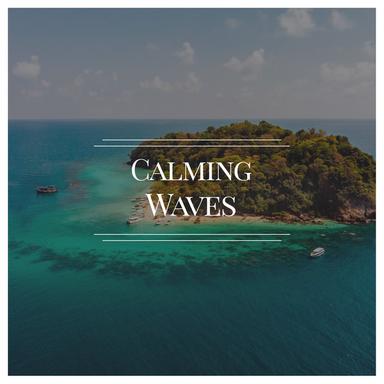 Romantic Stroll Along the Beach