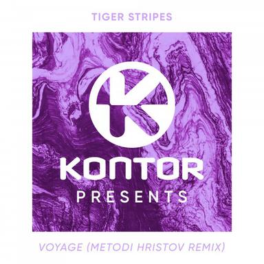 Voyage - Metodi Hristov Remix