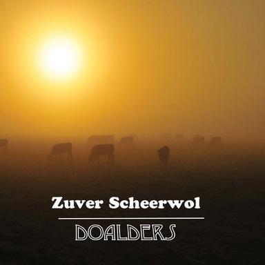 ZS