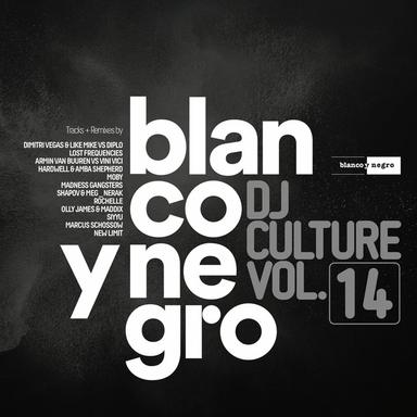 Blanco Y Negro Music DJ Culture, Vol. 14