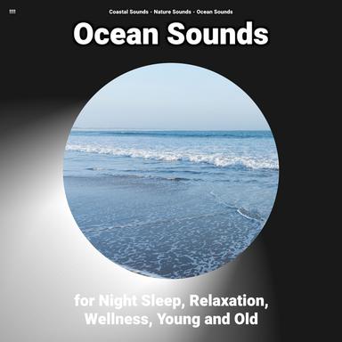 Sea Noises to Make You Sleep Instantly