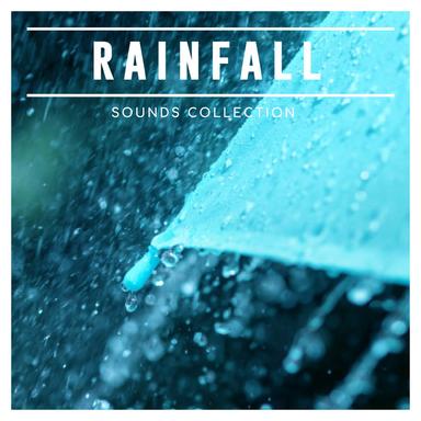 White Noise Rain to Loop