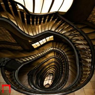 My Mushrooms - Original Mix