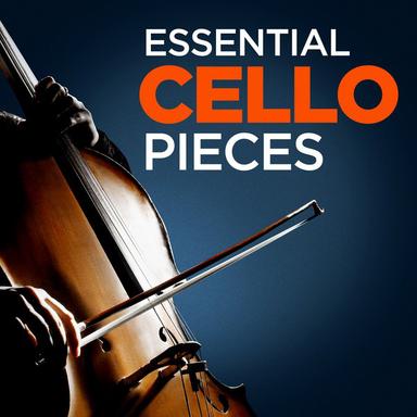 Cello Concerto in B Minor, Op. 104 : 1. Allegro