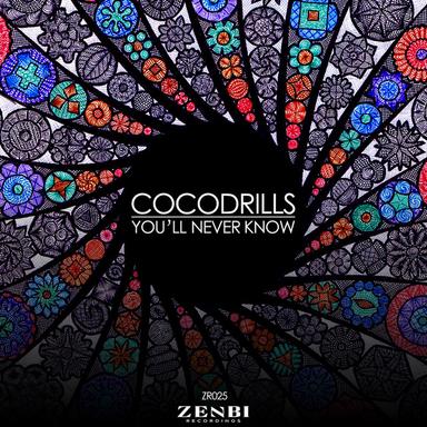 You'll Never Know - Original Mix