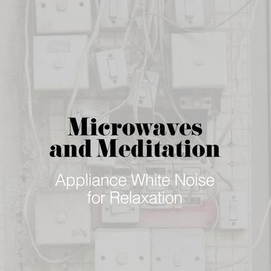 Pink and Brown Echo Beat