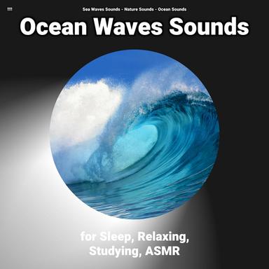Beach Waves Ambience for Sleep