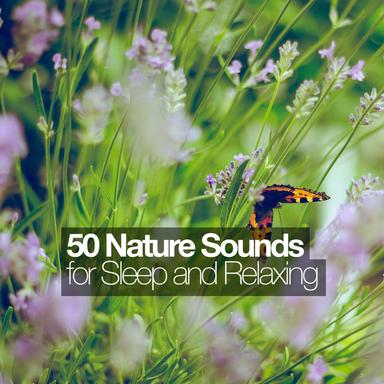 50 Nature Sounds for Sleep and Relaxing