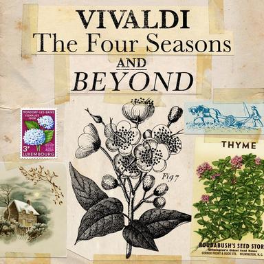 Flautino Concerto in C, RV 443 : 1. Allegro