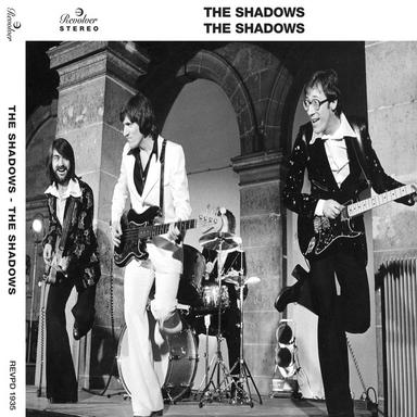 Stand Up and Say That!