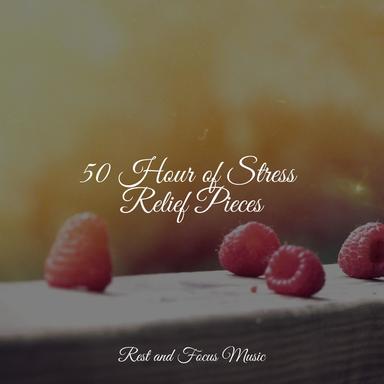 Forgotten Friendly Forest