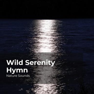 Stream Running Smoothly