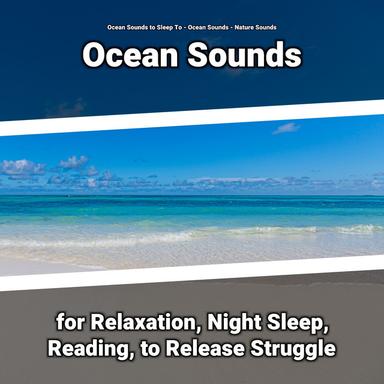 Ocean Sounds for Kids