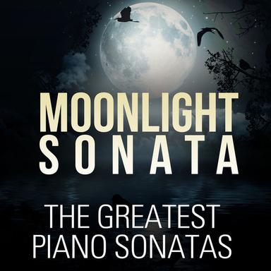 Sonata No. 3 in B Minor for Piano, Op. 58: I. Allegro maestoso