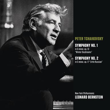 Symphony No. 2 in C Minor, Op. 17, TH 25 "Little Russian": II. Andantino marziale, quasi moderato