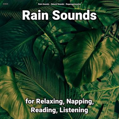 Rain Sounds for Cats