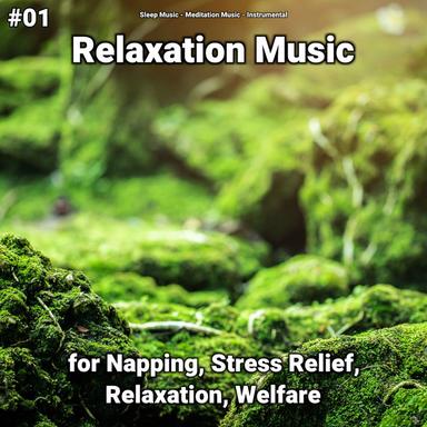 Relaxing Music to Focus