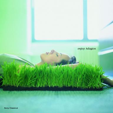 II. Adagio sostenuto