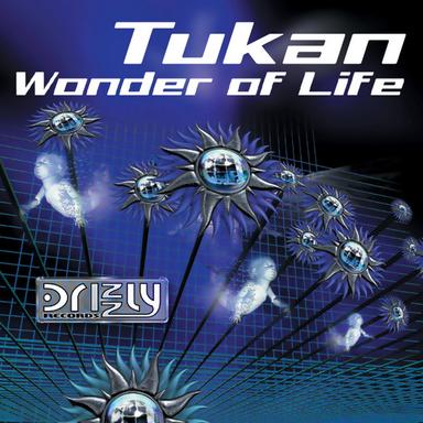 Wonder Of Life - Original Club Mix