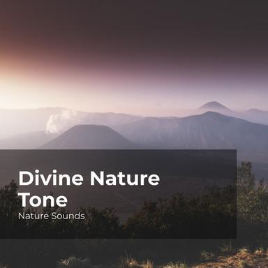 Peak of the Mountain