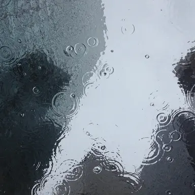 Gentle Rain on Window