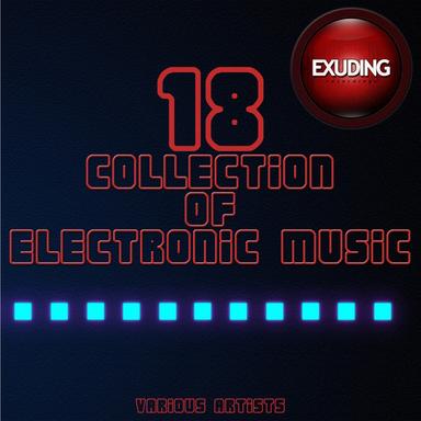 Collection Of Electronic Music, Vol. 18