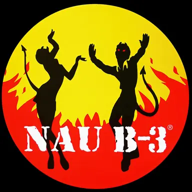 N3