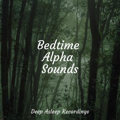 Flight of the Voyager