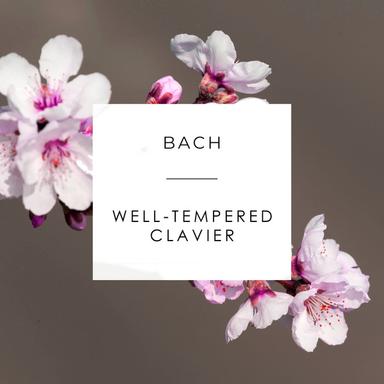 The Well-Tempered Clavier: Book 1, BWV 846-869: Prelude in E Major, BWV 854