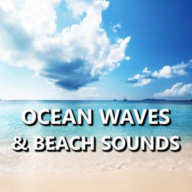 Healthy Jamaica Beach Waves