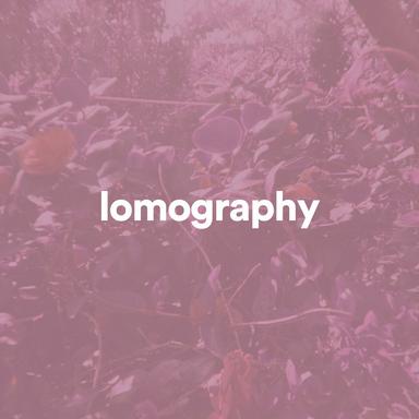 That Jazz Vibez - Lofi Chill Beat