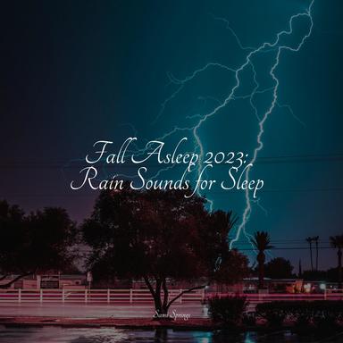 Trailside Avian Calls