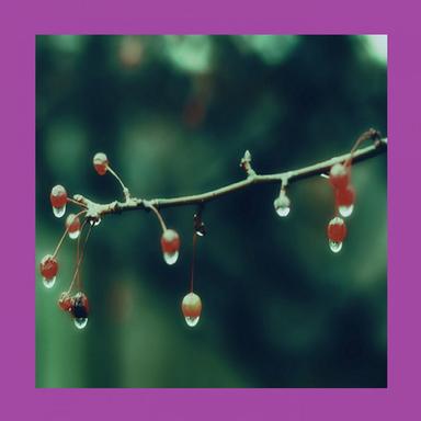 Wet Basement - Bdtom Remix