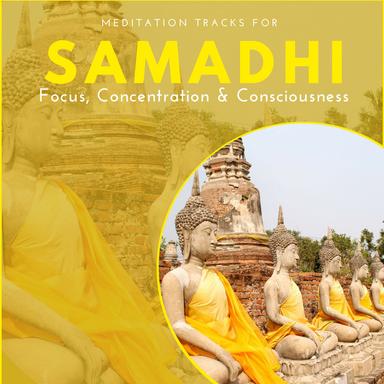 Blooming Flowers - Original Mix