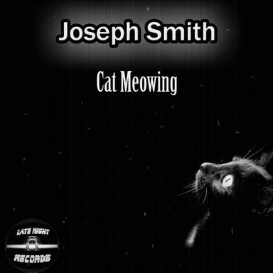 Cat Meowing - Original Mix