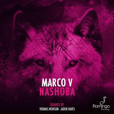 Nashoba - Original Mix