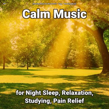 Relaxing Music for Serene Sleep