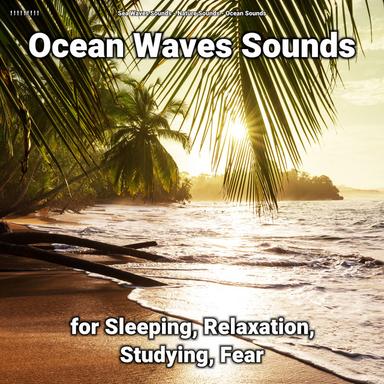 Ocean Sounds for Dogs