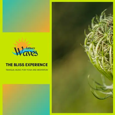 A Knock on your Mind