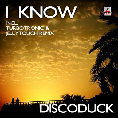 I Know - Turbotronic & Jellytouch Remix Edit