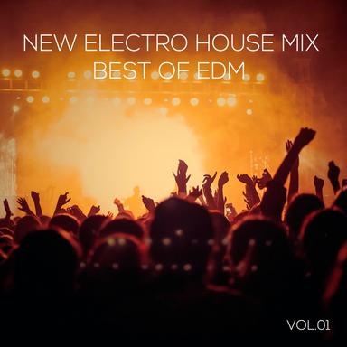 New Electro House Mix Best of EDM, Vol. 01