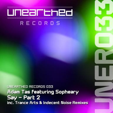 Say - Indecent Noise Remix