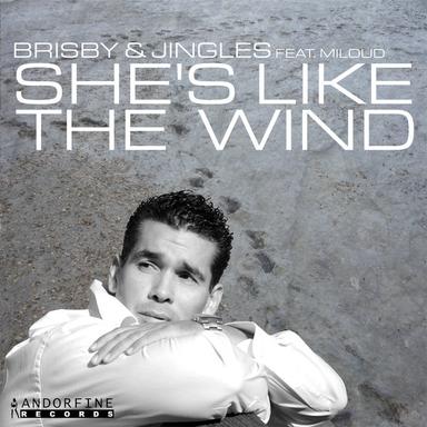 She's Like The Wind - Radio Edit